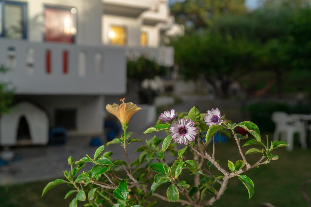 Plakias Bay Hotel Dış mekan fotoğraf